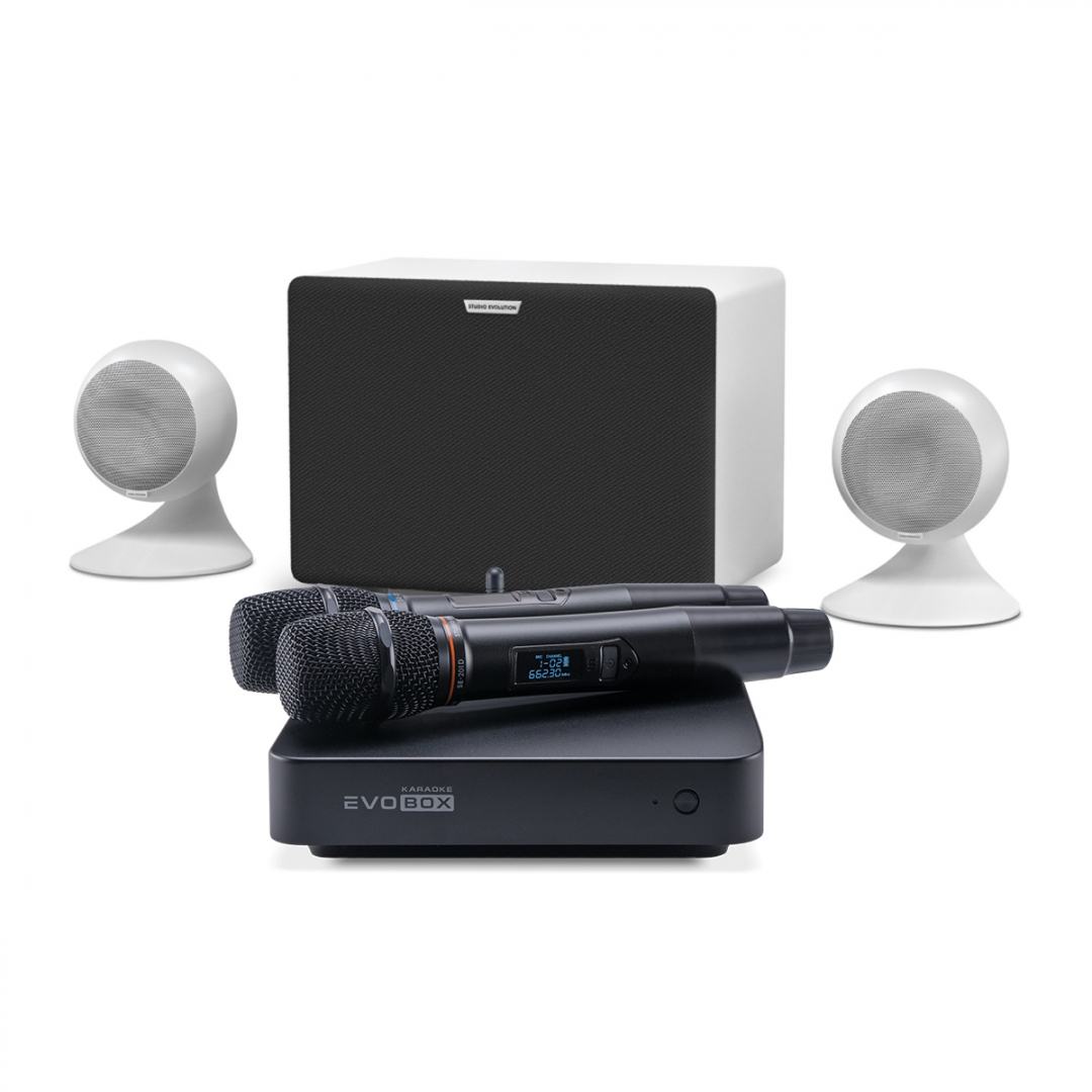 караоке-комплект EVOBOX Classic + EvoSound Sphere 2.1 в Обнинске