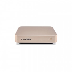EVOBOX с микрофонами в Обнинске